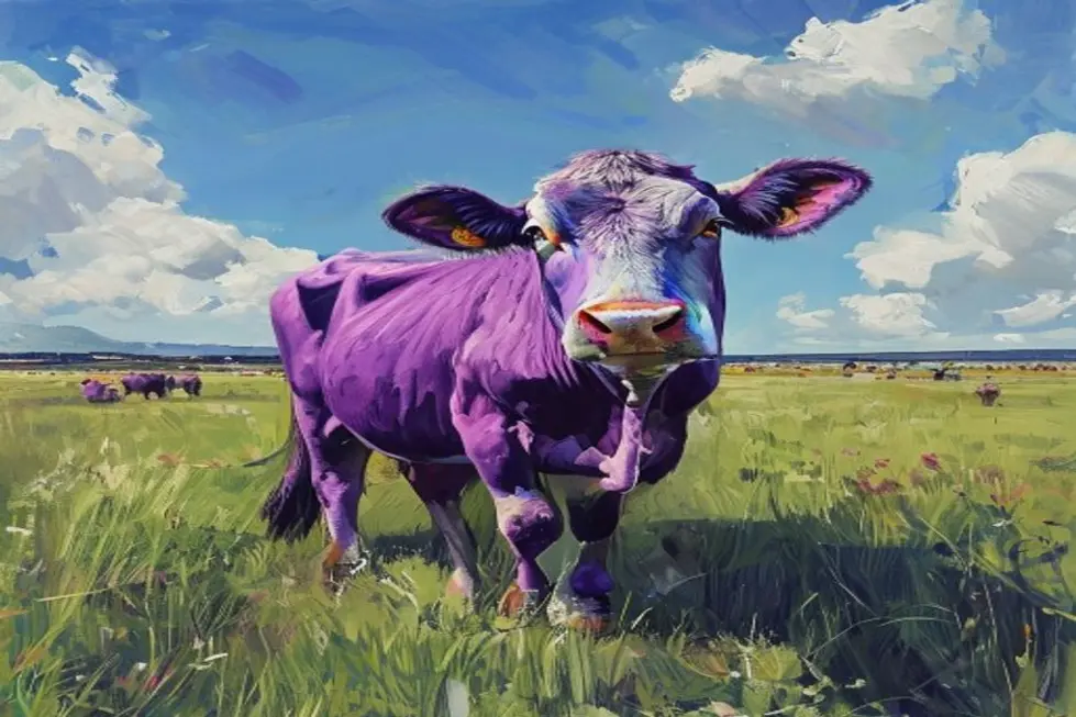 O Que É a Vaca Roxa e Por Que É Essencial?